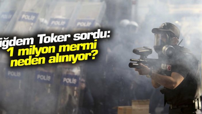 Çiğdem Toker sordu: 1 milyon mermi neden alınıyor?