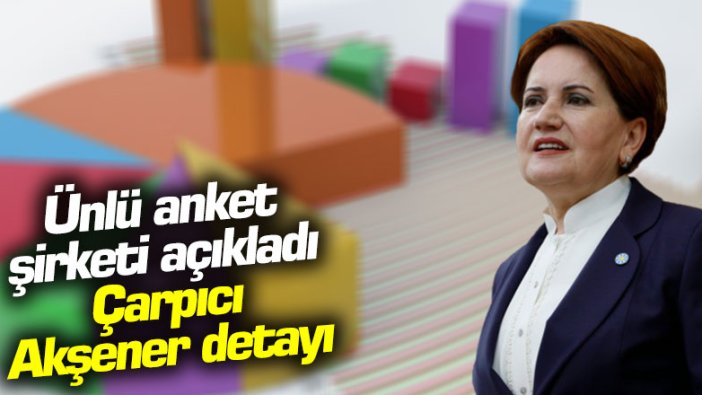 Ünlü anket şirketi açıkladı: Çarpıcı Akşener detayı