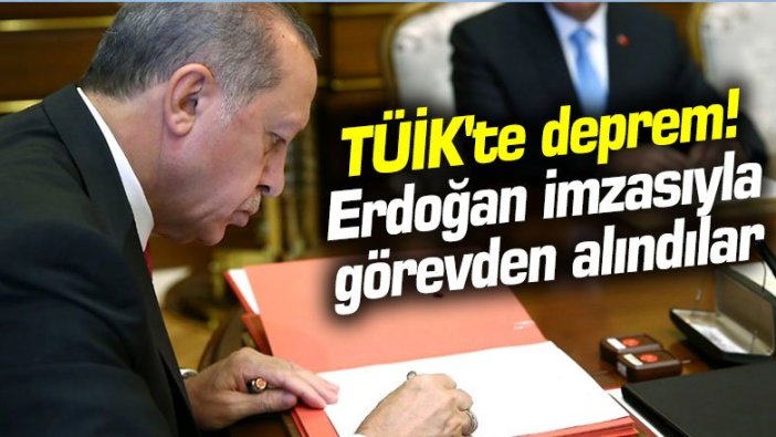 TÜİK'te deprem! Erdoğan imzasıyla görevden alındılar