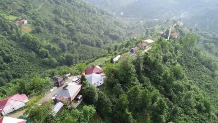 Karadeniz'in tepedeki sıralı evleri hayran bırakıyor