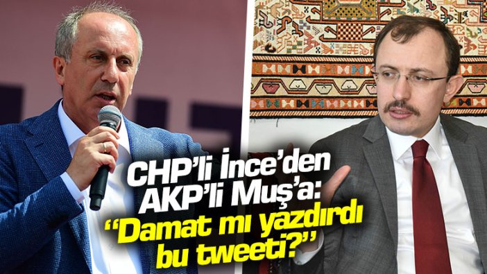 Muharrem İnce'den AKP'li Mehmet Muş'a: "Damat mı yazdırdı bu tweeti?"