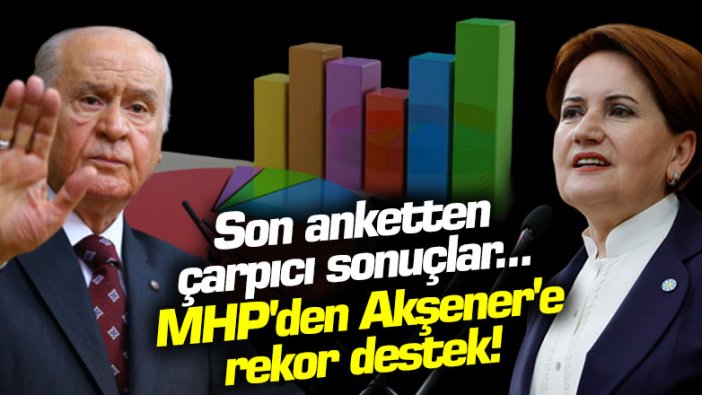 Son anketten çarpıcı sonuçlar... MHP'den Meral Akşener'e rekor destek!