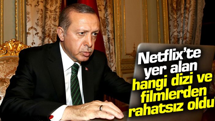 Erdoğan "Netfiliz" demişti, ortalık yıkılmıştı! İşte rahatsız olduğu dizi ve filmler...