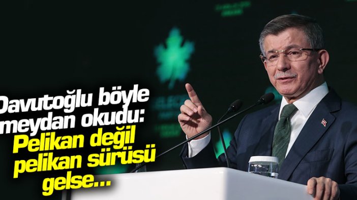 Davutoğlu böyle meydan okudu: Pelikan değil pelikan sürüsü gelse...