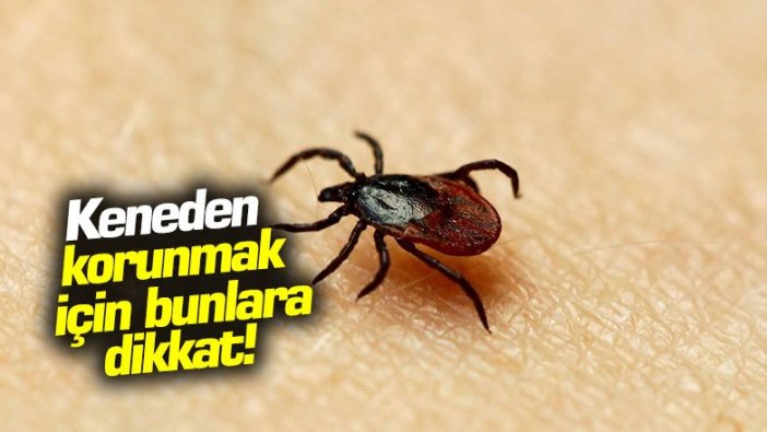 Keneden korunmak için bunlara dikkat!