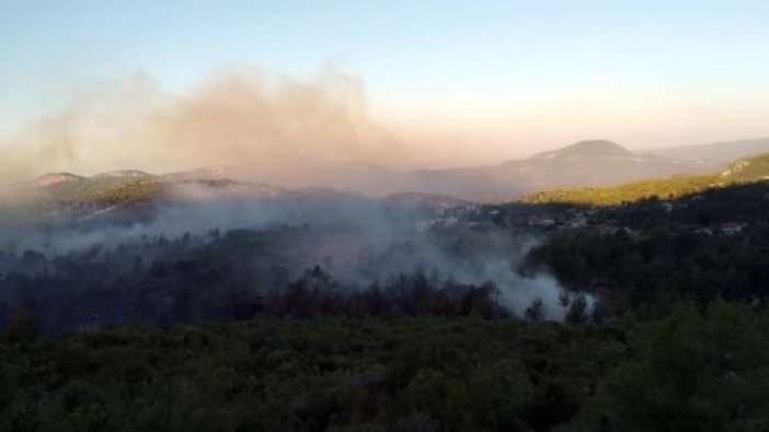 Manavgat'ta orman yangını