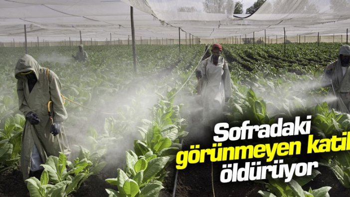 Sofradaki görünmeyen katil öldürüyor