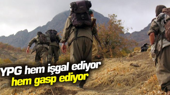 YPG hem işgal ediyor hem gasp ediyor 