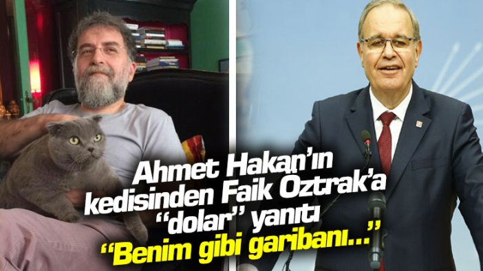 Ahmet Hakan’ın  kedisinden Faik Öztrak’a “dolar” yanıtı “Benim gibi garibanı...”