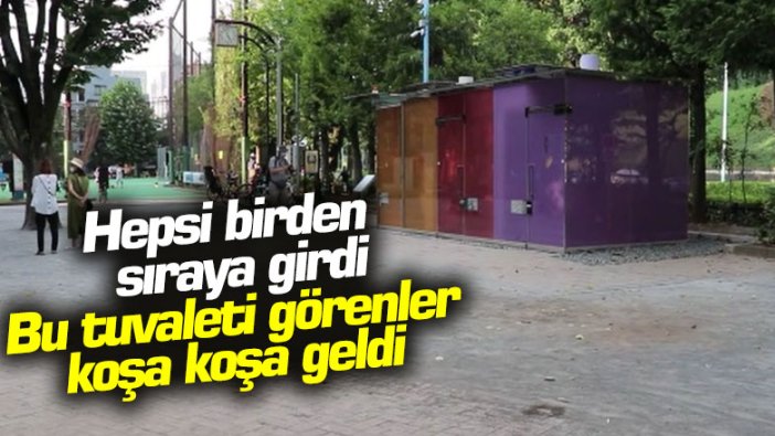 Hepsi birden sıraya girdi... Bu tuvaleti görenler koşa koşa geldi