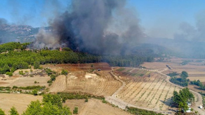 Antalya'da orman yangını