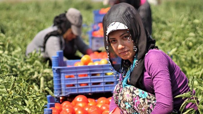 Mevsimlik işçiler ölümün pençesinde