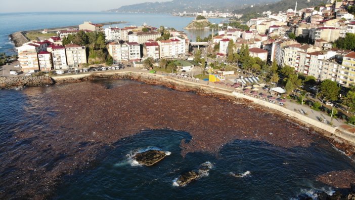 Giresun'daki sel felaketiyle ilgili flaş gelişme