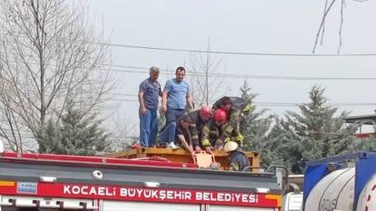 Temizlik yaparken tehlikeli madde taşıyan TIR tankının içine düştü! Ağır yaralı hastaneye kaldırıldı