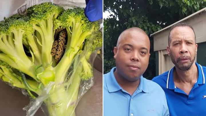 broccoli-father-son-split.webp