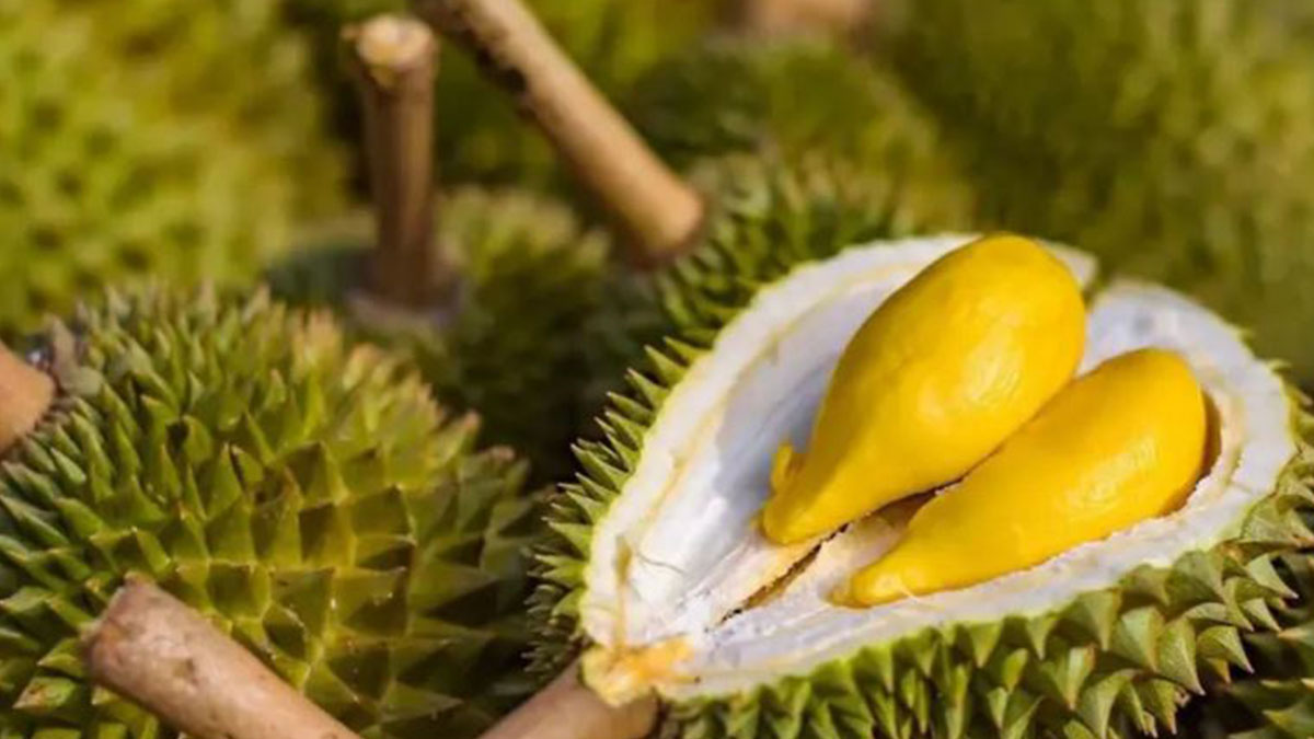 durian.jpg