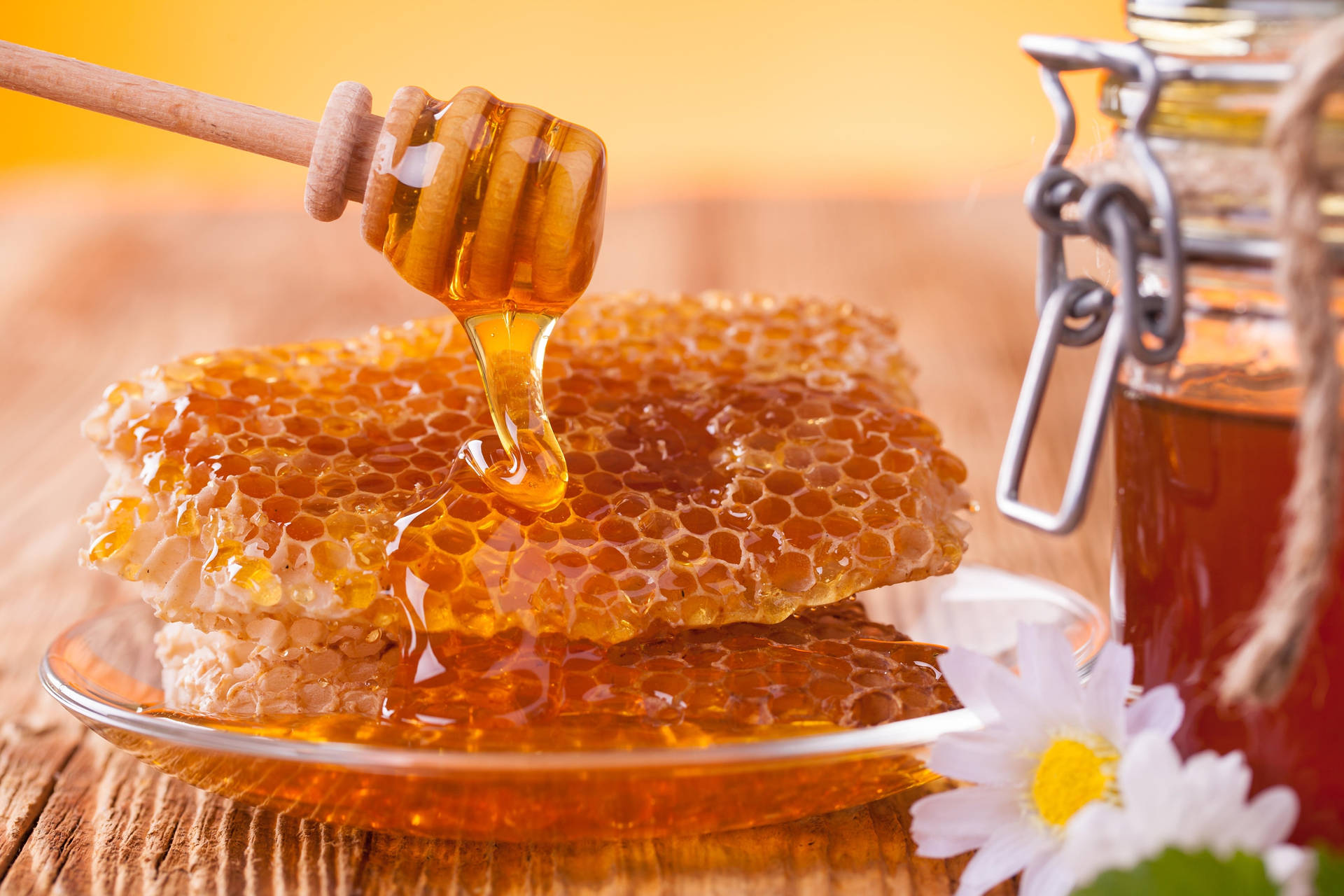 honeycomb-drizzled-by-honey-jkogd85trswfsoe6.jpg