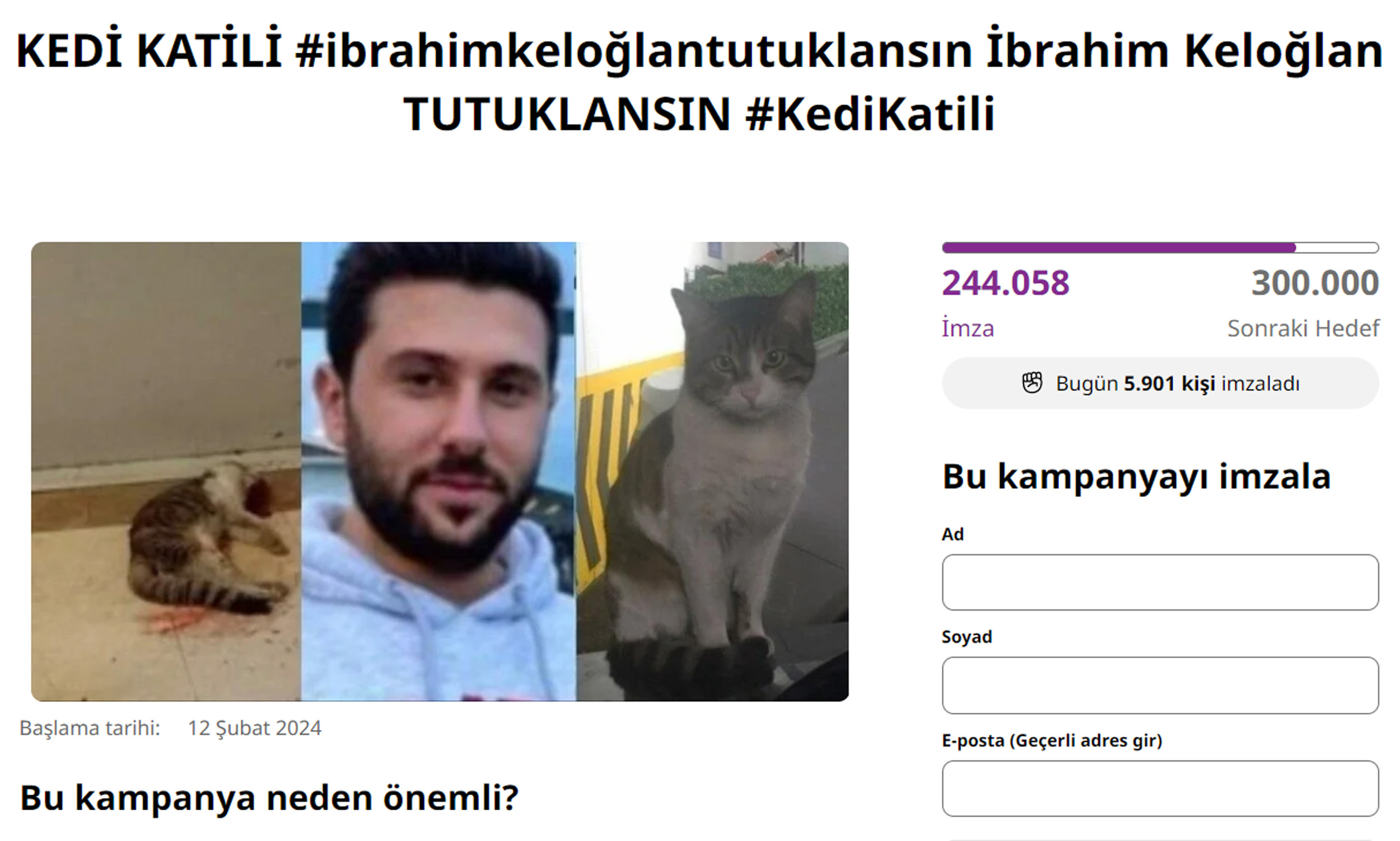 kedi-katilinin-tutuklanmasi-icin-250-bin-14973.jpg