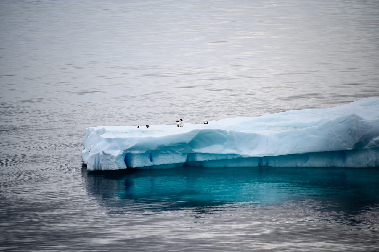antarctica-5163636-1280.jpg