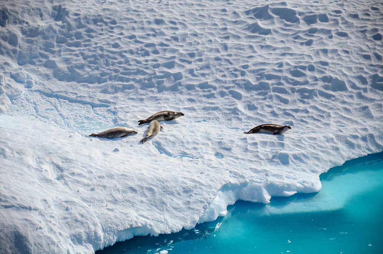 antarctica-8109879-1280.jpg
