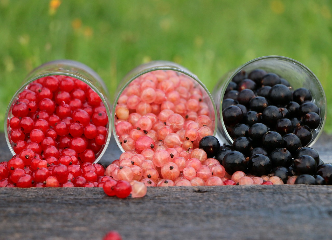 currant-1560383-1280.jpg