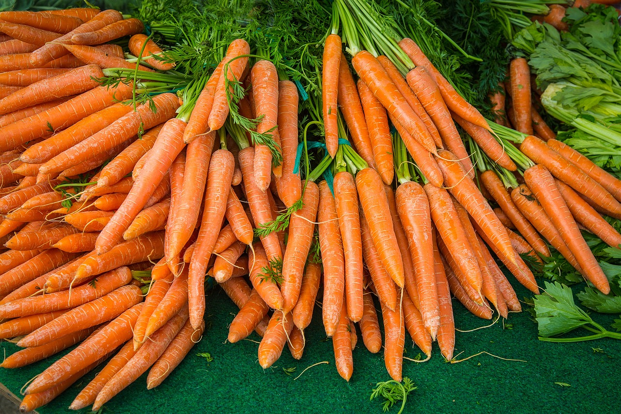 carrot-2309814-1280.jpg