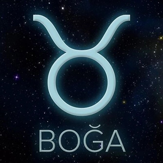 boga-1.webp