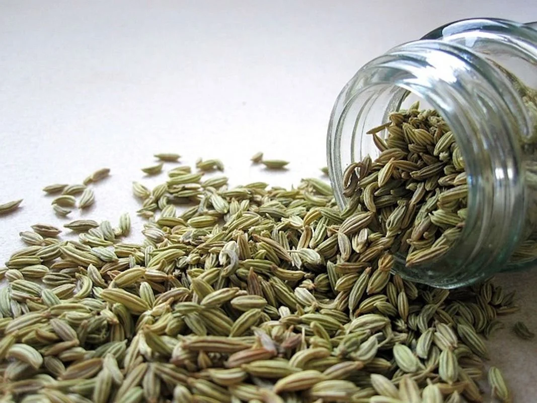 fennel-2617-640.webp