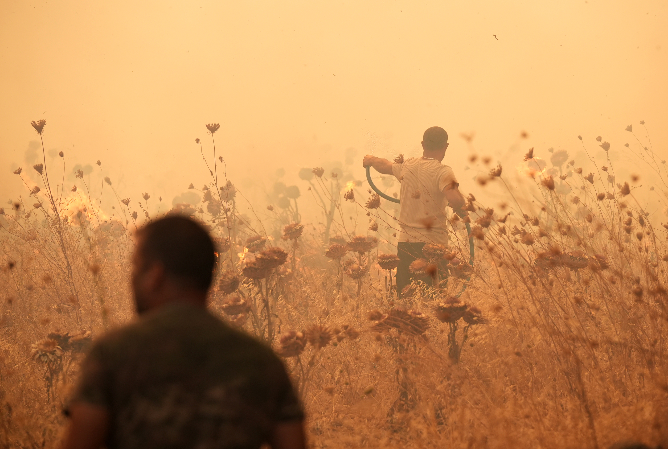 aa-20240731-35282870-35282865-fight-against-forest-fire-in-urla-district-of-izmir-continues.jpg