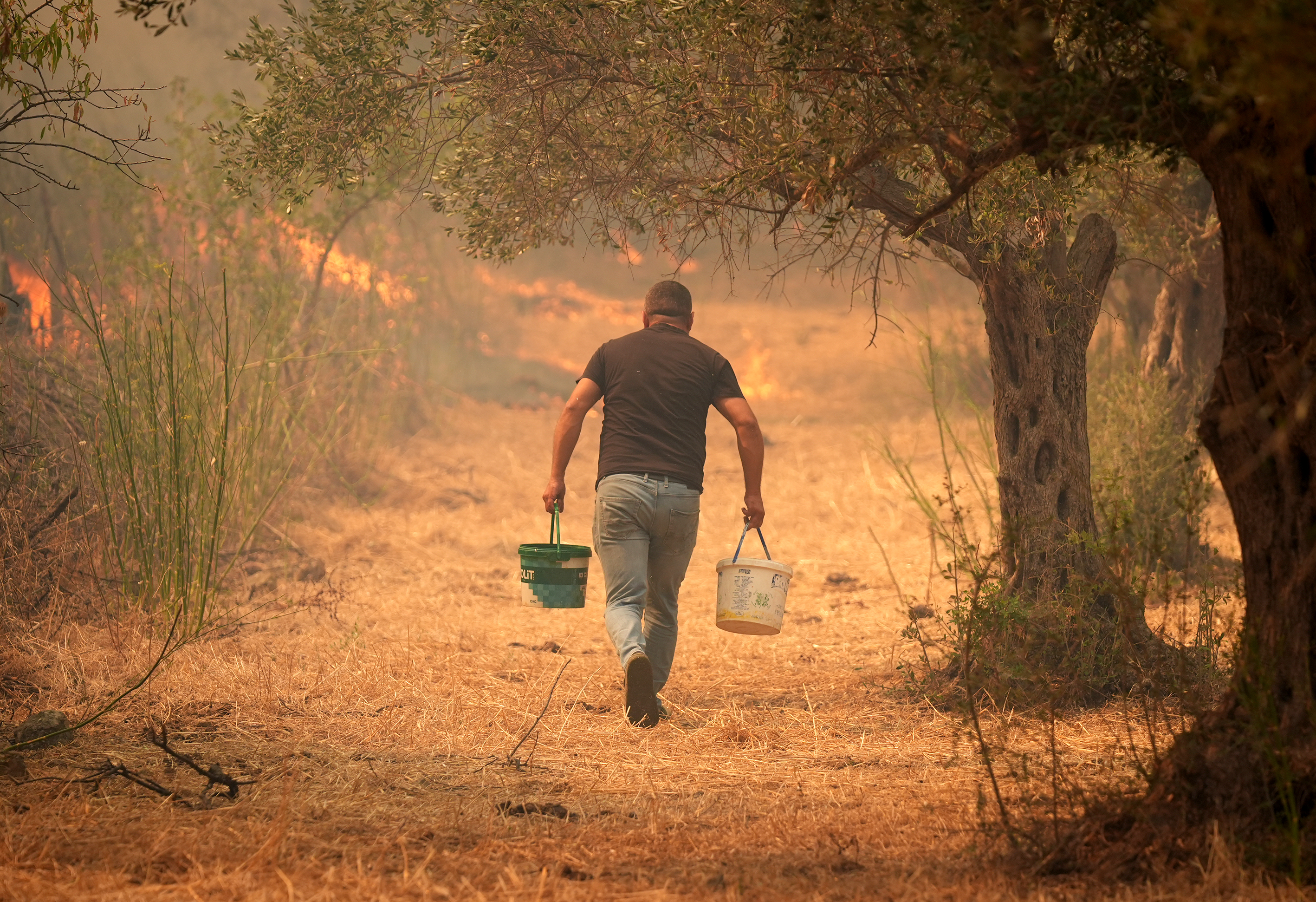 aa-20240731-35282870-35282867-fight-against-forest-fire-in-urla-district-of-izmir-continues.jpg