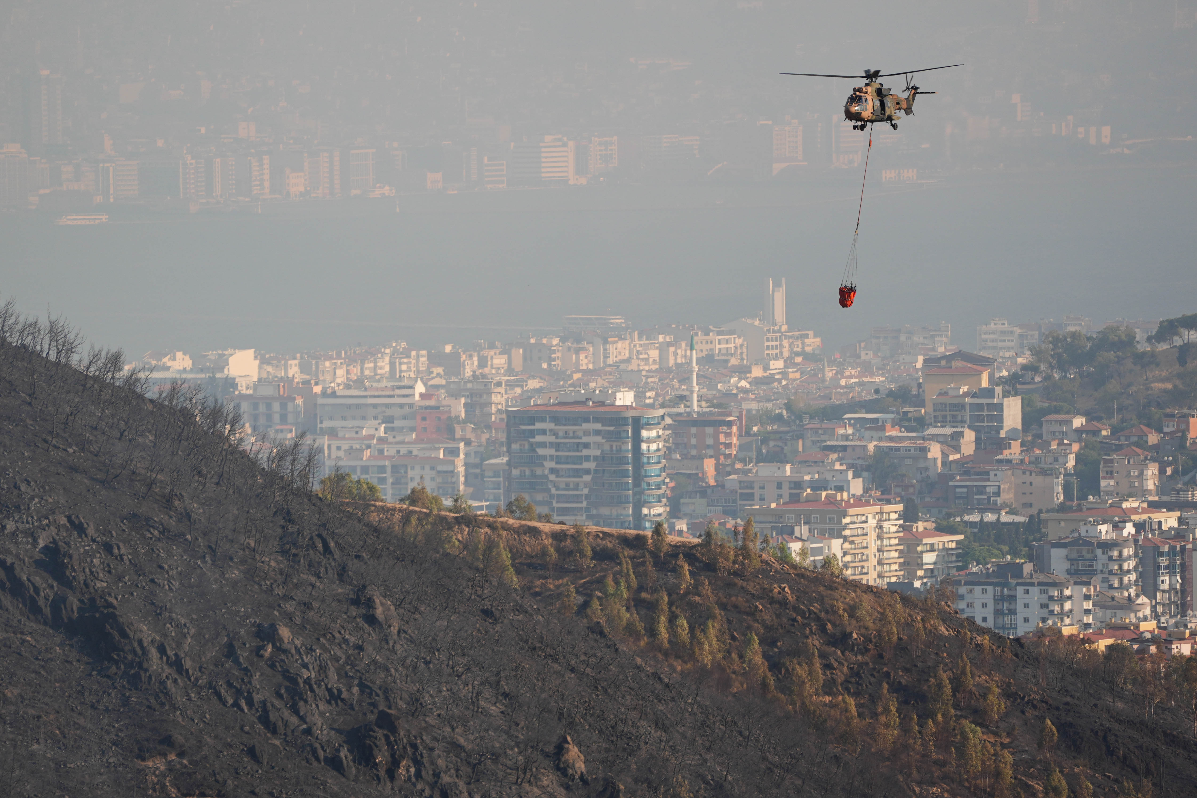 aa-20240816-35419353-35419346-efforts-continue-to-combat-forest-fires-in-izmir.jpg