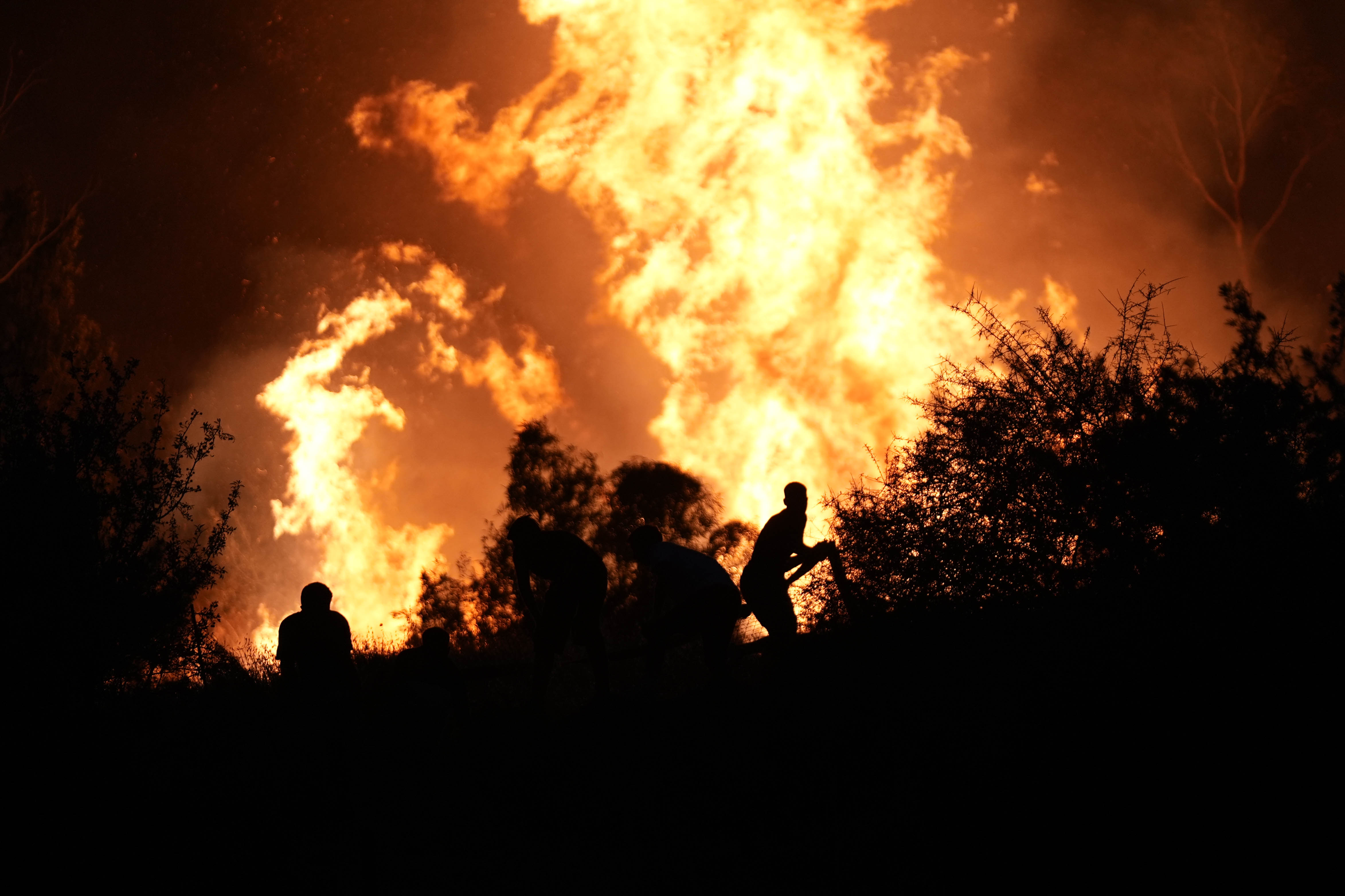 aa-20240816-35420041-35420035-efforts-continue-to-combat-forest-fires-in-izmir.jpg